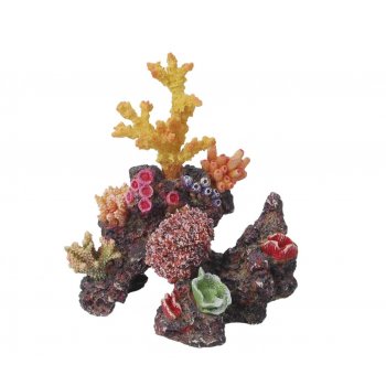 HAQUOSS REEF DREAM 15 - 15x10x17h cm